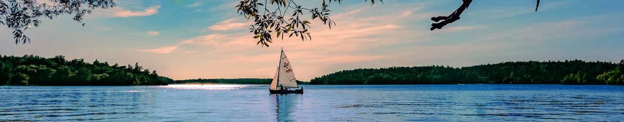 tax and advisory services banner