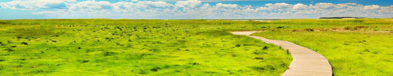 individual tax and advisory services banner